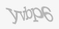 Κωδικός ασφαλείας