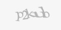 Κωδικός ασφαλείας