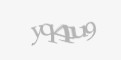 Κωδικός ασφαλείας