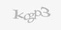 Κωδικός ασφαλείας