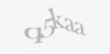Κωδικός ασφαλείας