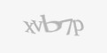 Κωδικός ασφαλείας
