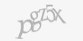 Κωδικός ασφαλείας